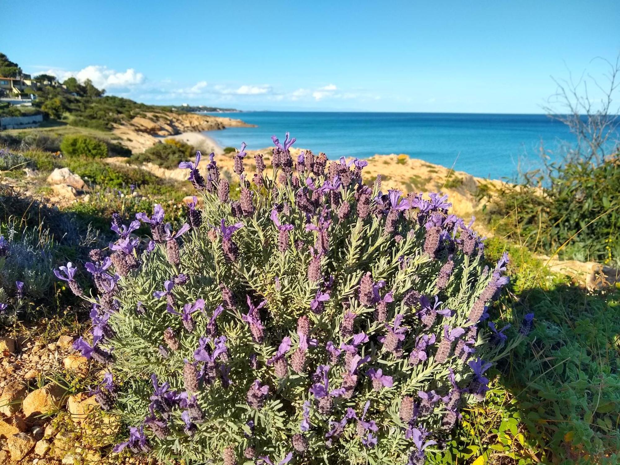 Capo Blu - Santa Margherita di Pula Villa Bagian luar foto